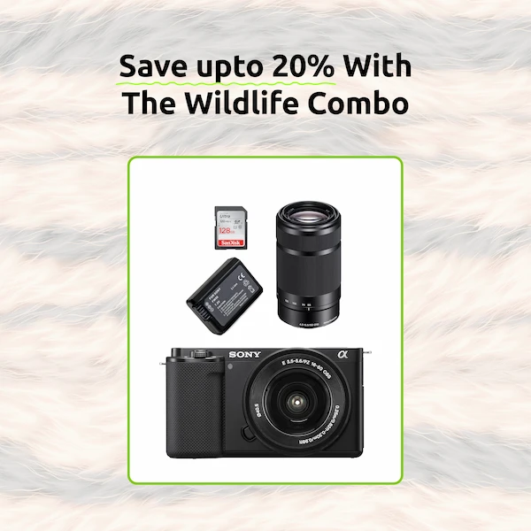 Rent sony zve10 zoommax combo in Kochi | Zero Deposit Rentals